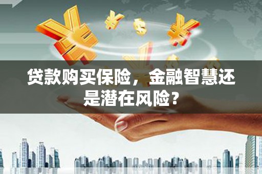 索县贷款购买保险，金融智慧还是潜在风险？
