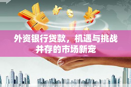 索县外资银行贷款，机遇与挑战并存的市场新宠