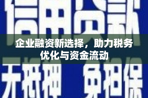 索县企业融资新选择，助力税务优化与资金流动