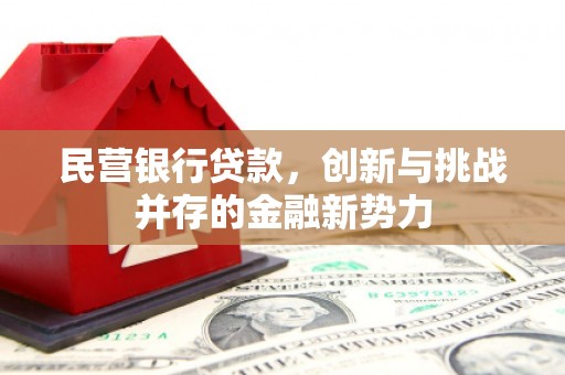 索县民营银行贷款，创新与挑战并存的金融新势力