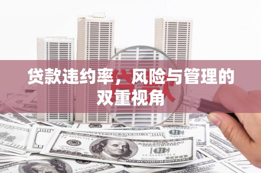 索县贷款违约率，风险与管理的双重视角