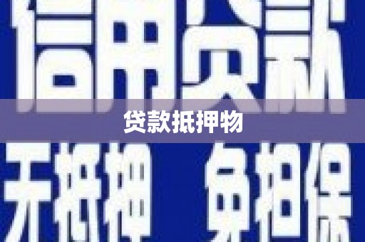 索县贷款抵押物