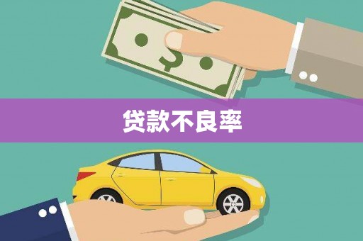 索县贷款不良率