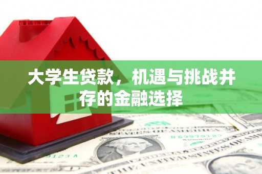 索县大学生贷款，机遇与挑战并存的金融选择