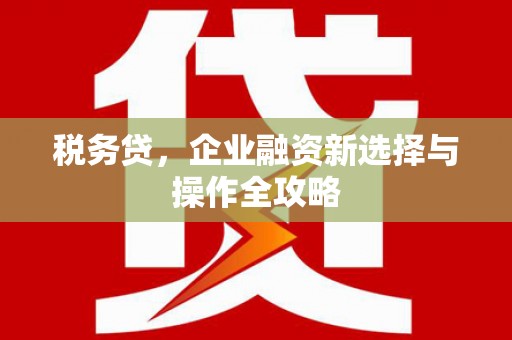 索县税务贷，企业融资新选择与操作全攻略