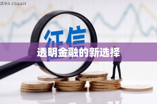 索县透明金融的新选择