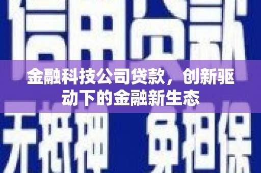索县金融科技公司贷款，创新驱动下的金融新生态