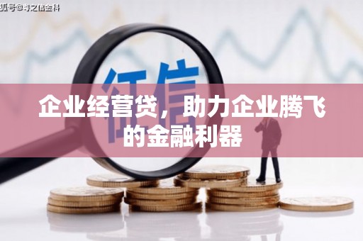 索县企业经营贷，助力企业腾飞的金融利器