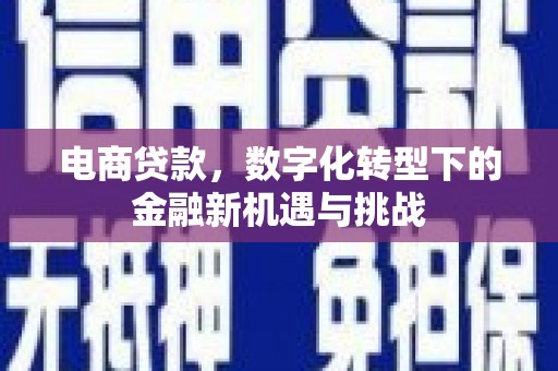 索县电商贷款，数字化转型下的金融新机遇与挑战