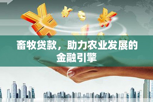 索县畜牧贷款，助力农业发展的金融引擎