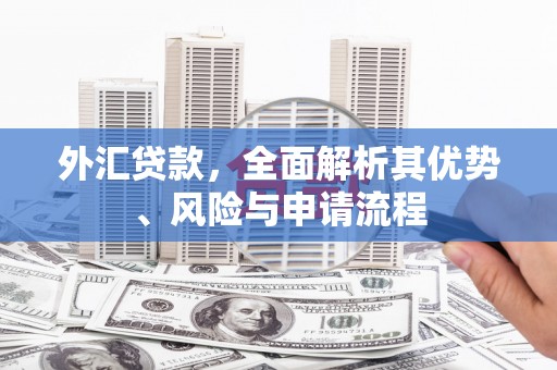 索县外汇贷款，全面解析其优势、风险与申请流程