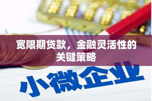 索县宽限期贷款，金融灵活性的关键策略
