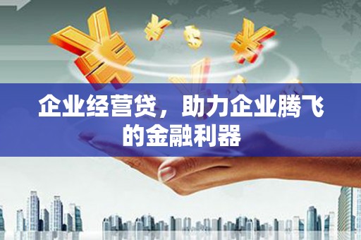 索县企业经营贷，助力企业腾飞的金融利器