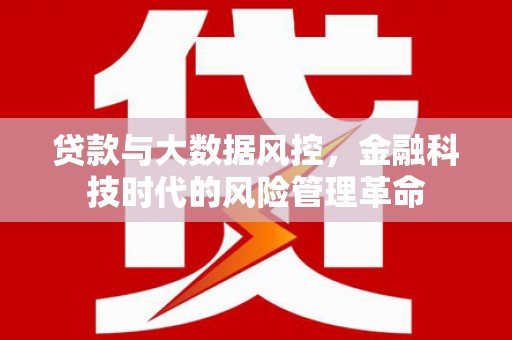 索县贷款与大数据风控，金融科技时代的风险管理革命
