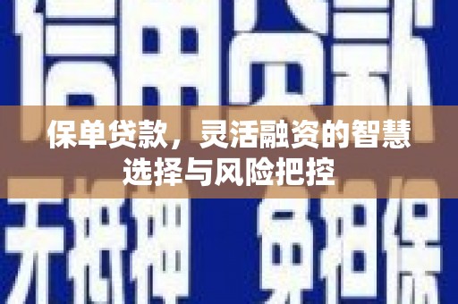 索县保单贷款，灵活融资的智慧选择与风险把控