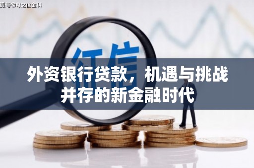 索县外资银行贷款，机遇与挑战并存的新金融时代