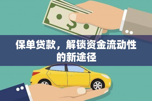 索县保单贷款，解锁资金流动性的新途径