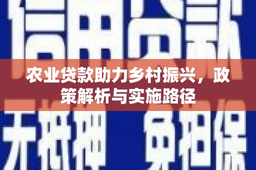 索县农业贷款助力乡村振兴，政策解析与实施路径