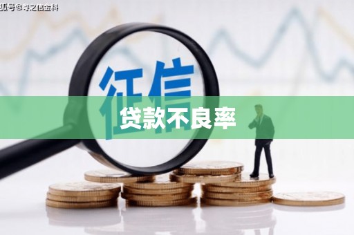 索县贷款不良率