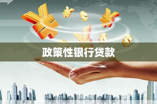 索县政策性银行贷款