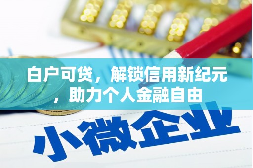 索县白户可贷，解锁信用新纪元，助力个人金融自由