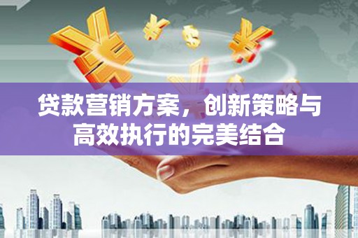 索县贷款营销方案，创新策略与高效执行的完美结合