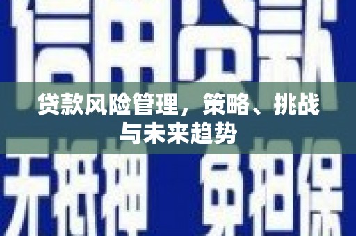索县贷款风险管理，策略、挑战与未来趋势