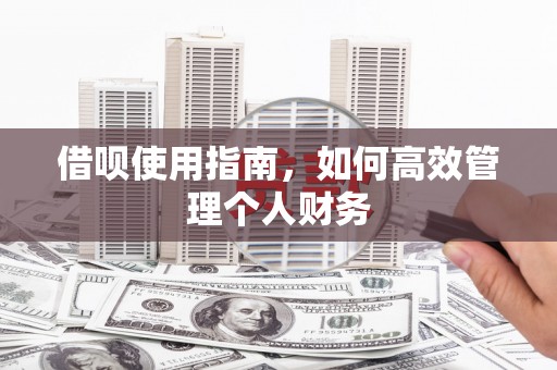 索县借呗使用指南，如何高效管理个人财务