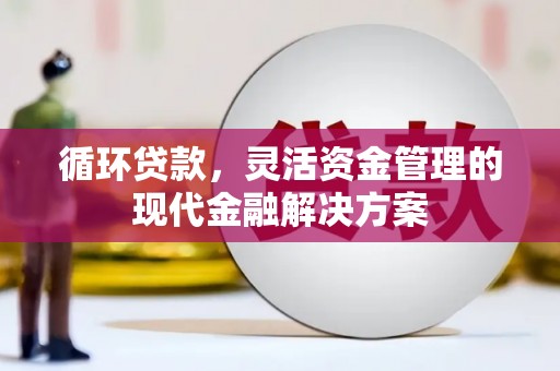 索县循环贷款，灵活资金管理的现代金融解决方案