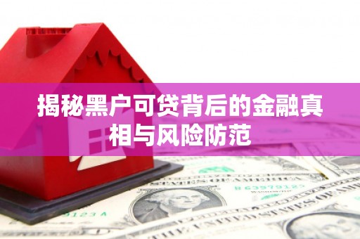 索县揭秘黑户可贷背后的金融真相与风险防范