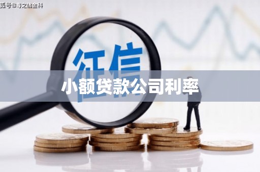 索县小额贷款公司利率