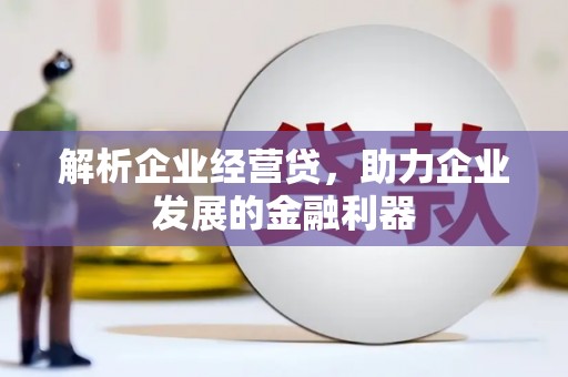 索县解析企业经营贷，助力企业发展的金融利器