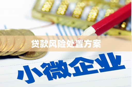 索县贷款风险处置方案