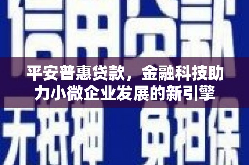 索县平安普惠贷款，金融科技助力小微企业发展的新引擎