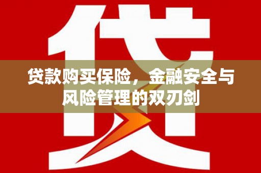 索县贷款购买保险，金融安全与风险管理的双刃剑