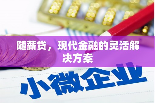索县随薪贷，现代金融的灵活解决方案
