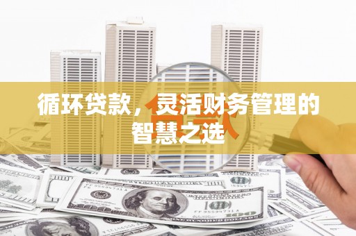 索县循环贷款，灵活财务管理的智慧之选