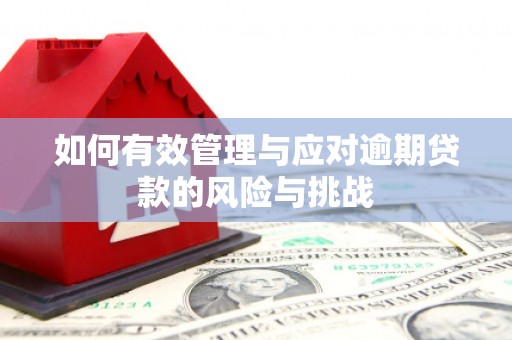索县如何有效管理与应对逾期贷款的风险与挑战