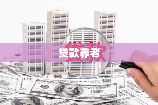 索县贷款养老