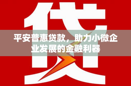 索县平安普惠贷款，助力小微企业发展的金融利器
