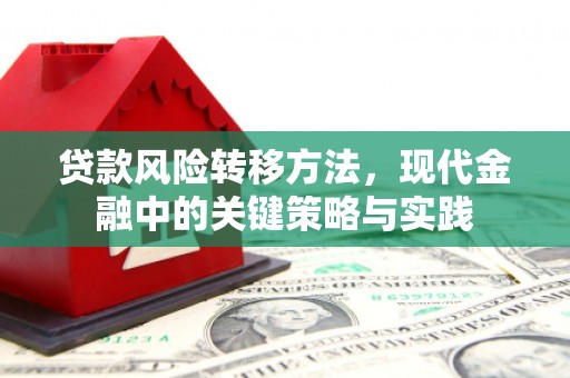 索县贷款风险转移方法，现代金融中的关键策略与实践