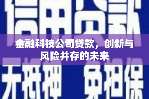 索县金融科技公司贷款，创新与风险并存的未来