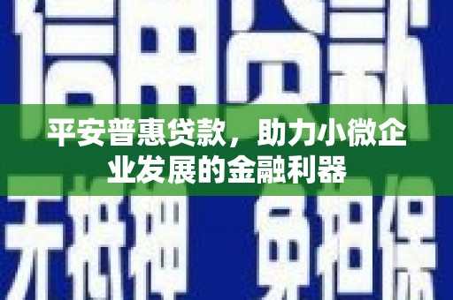 索县平安普惠贷款，助力小微企业发展的金融利器