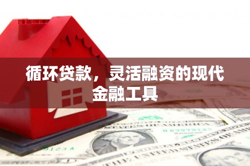 索县循环贷款，灵活融资的现代金融工具