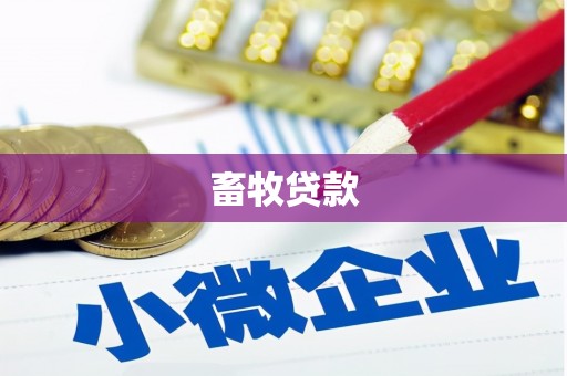 索县畜牧贷款