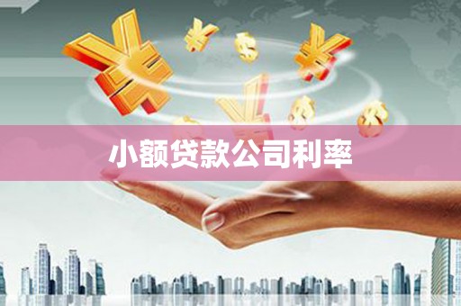 索县小额贷款公司利率