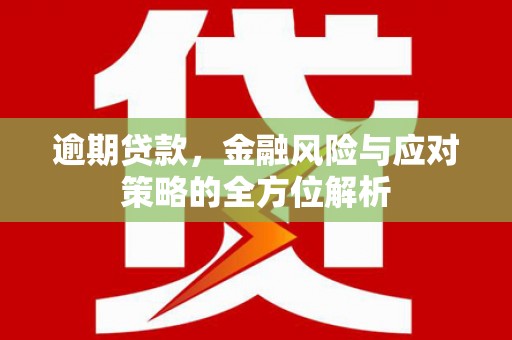 索县逾期贷款，金融风险与应对策略的全方位解析