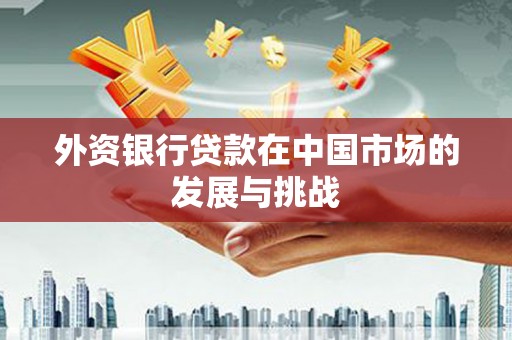 索县外资银行贷款在中国市场的发展与挑战