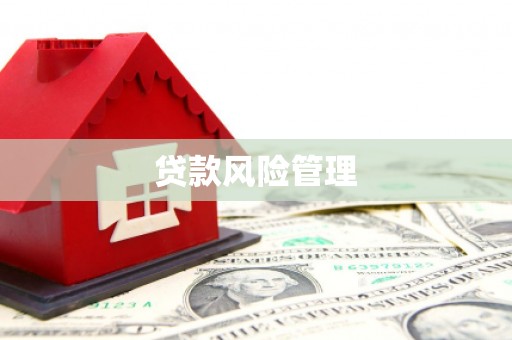 索县贷款风险管理