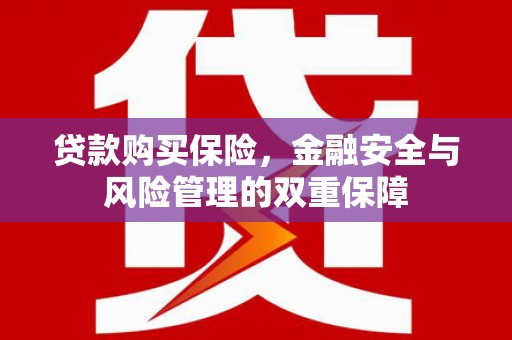 索县贷款购买保险，金融安全与风险管理的双重保障
